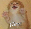 mishigrrr_LBL Discord emoji