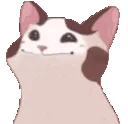 bcaCursedBugcatLick