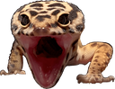 LemonAAA Discord emoji