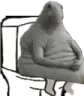 Shittin