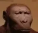 BruhMonke