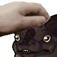 Hivollos_Pet