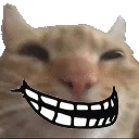 trollcat
