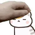SquishyNeko