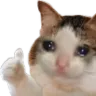 catcry Discord Emoji
