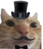 cat_fancy Discord emoji