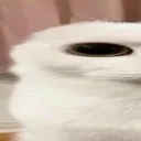 emoji_123