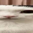 emoji_124