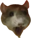 WHAT_rat