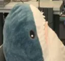 blahaj