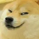 sussmiledoge sussmiledoge