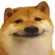 okaydog