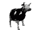 polishcow