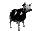 polishcow