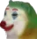 cho_he