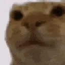 __