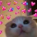 8a__catily Discord emoji