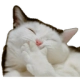 8a_cathehe Discord emoji