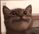 ch_sohappi2