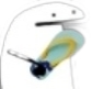 NHM_shbshb Discord emoji