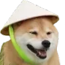 dogekek