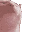 emoji_143