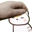 neko_pet