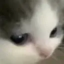 hehe_wait