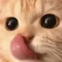 S Catlick Discord Emoji