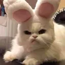 emoji_23