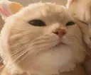 emoji_26