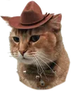 Cat Discord emoji