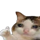 sadthumbsup Discord emoji