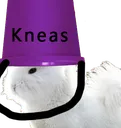 kneasbucketp