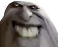 zavala