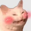 catBlush Discord Emoji
