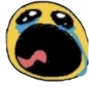 9cry Discord emoji