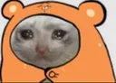 catsad3 Discord Emoji