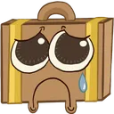 sadcase