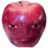 ayple ayple