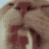 cum_3