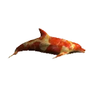 pizzadolphin