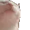 catJAM