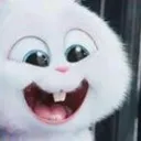 yay