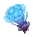 Sea_Ganoderma
