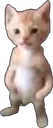 miguel