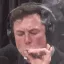 elon