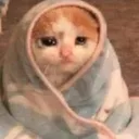 cartel_kat_cry