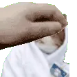 petcozycapri