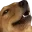 woofer_what